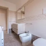 Damilhouse 4 *